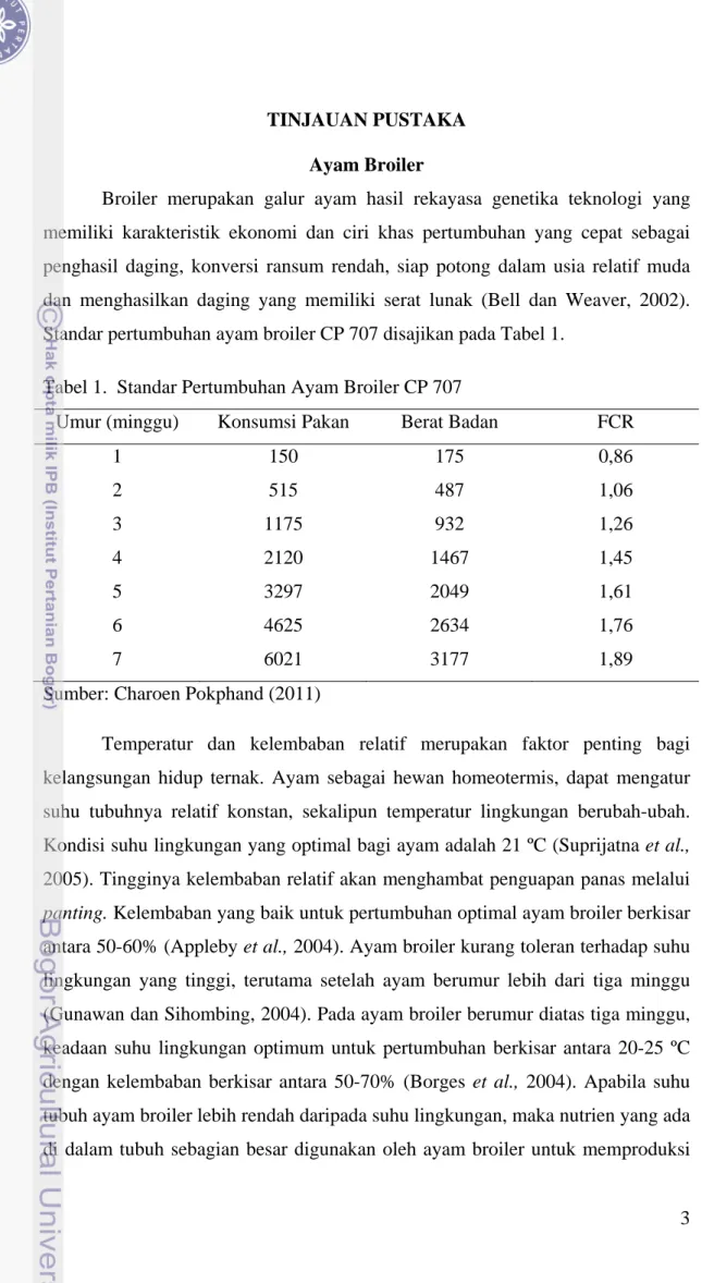 Tabel 1.  Standar Pertumbuhan Ayam Broiler CP 707 