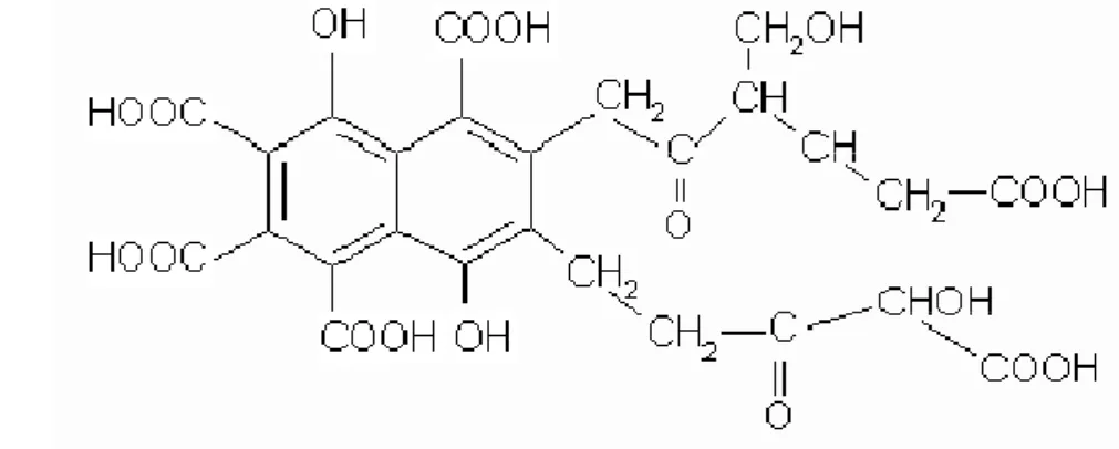 Gambar 2. Model Struktur Asam Fulvat      Sumber : Buffle (1977) 