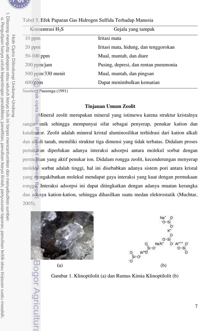 Gambar 1. Klinoptilolit (a) dan Rumus Kimia Klinoptilolit (b) 