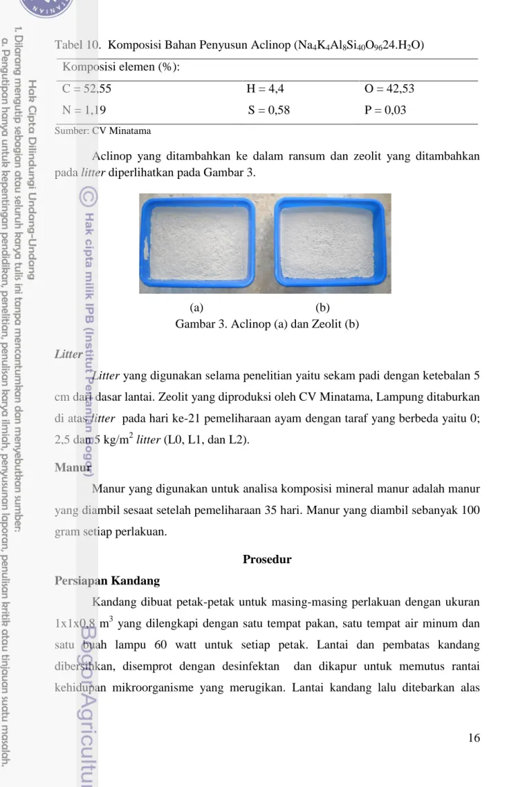 Gambar 3. Aclinop (a) dan Zeolit (b)  Litter 
