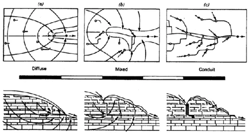 Gambar 1. Sistem Hidrologi Kawasan Karst (Domenico and Schwartz, 1990) 