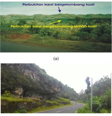 Gambar  4    Kenampakan  morfologi  perbukitan  karst  di  Kecamatan  Playen  (Sumber: (a) Dinas PUP-ESDM DIY, (b) Dokumentasi penulis) 