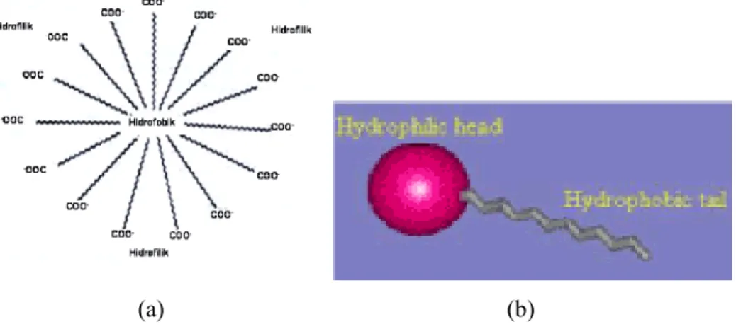 Gambar 5. Struktur surfaktan: a. Struktur molekul surfaktan dalam suatu  system emulsi; b