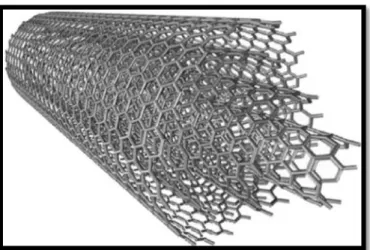 Gambar 2. 2 Multi Walled Nanotubes (MWNT) 