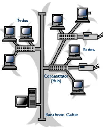 Gambar 2.4 Topologi Tree 