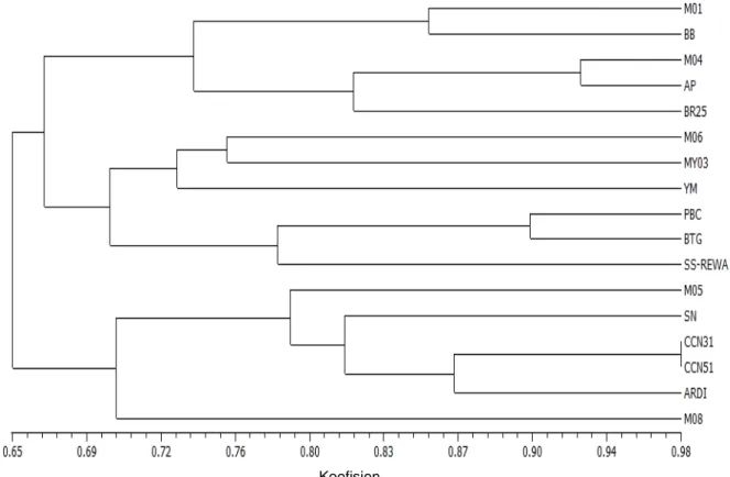 Gambar 2.  Dendrogram kemiripan morfologi hasil analisis kluster dengan metode pengelompokan UPGMA berdasarkan 14 karakter morfologi  Figure 2