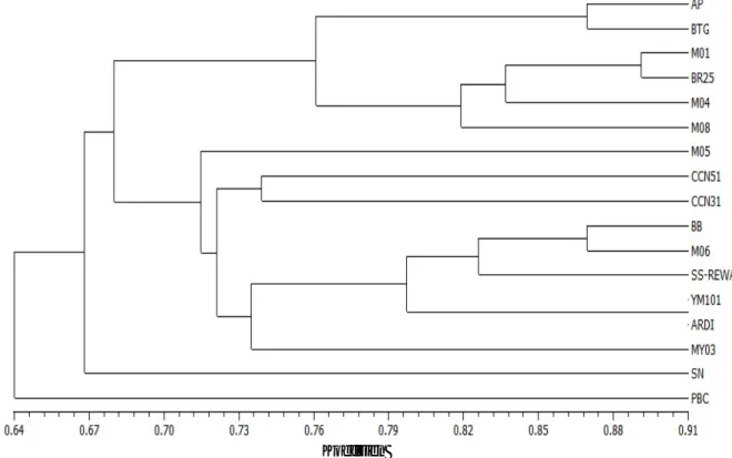Gambar 3. Dendrogram kemiripan genetik hasil analisis kluster dengan metode pengelompokan UPGMA berdasarkan 46 pita DNA  Figure 3
