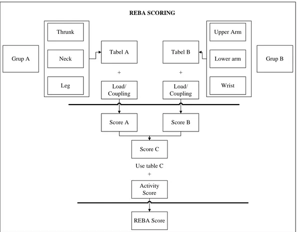 Gambar 2.2. Langkah-langkah perhitungan metode REBA. 