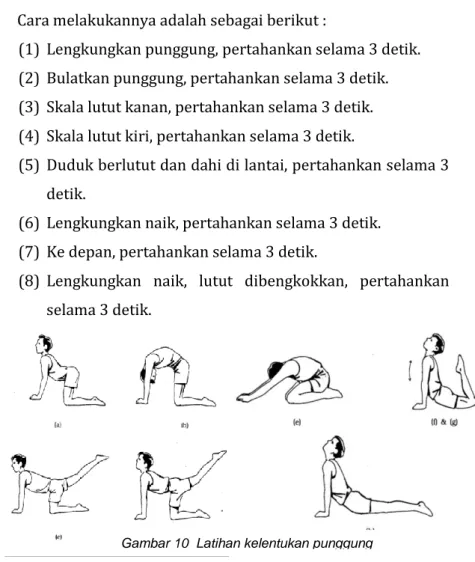 Gambar 10  Latihan kelentukan punggung 
