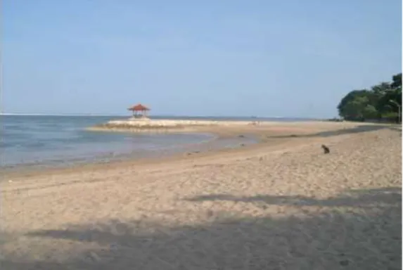 Gambar 5. Contoh lahan hasil pengisian pasir di sanur , Bali (Yuwono2004 ) 