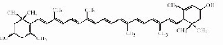 Gambar 3. Struktur kimia lutein
