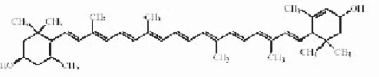 Gambar 3. Struktur kimia lutein