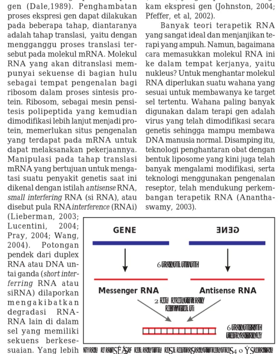 Gambar 1. Mekanisme kerja antisense RNA dalam menghalangi ekspresi gen.