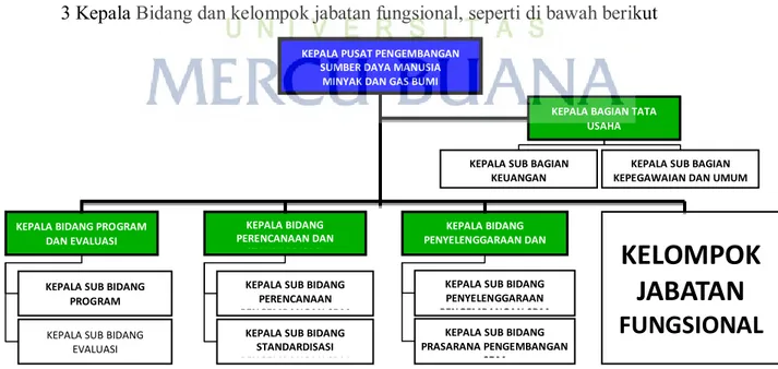 Gambar 1.1 struktur organisasi PPSDM 