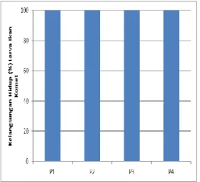 Gambar 2. Diagram rata-rata tingkat  kelangsungan hidup larva  ikan komet (Carassius  auratus) selama penelitian