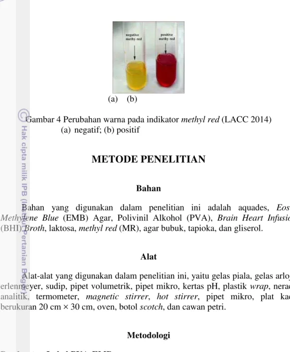 Gambar 4 Perubahan warna pada indikator methyl red (LACC 2014)  (a)  negatif; (b) positif 