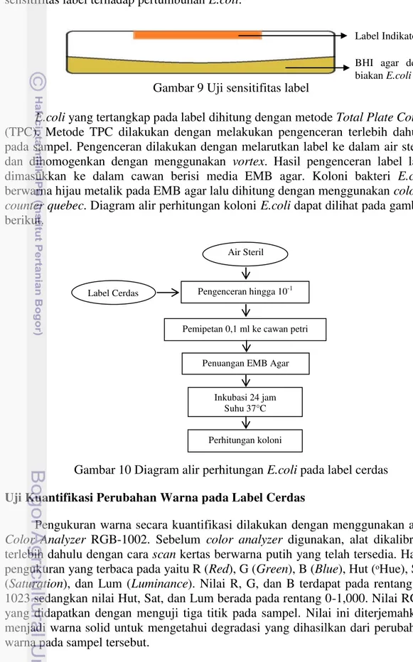 Gambar 9 Uji sensitifitas label 