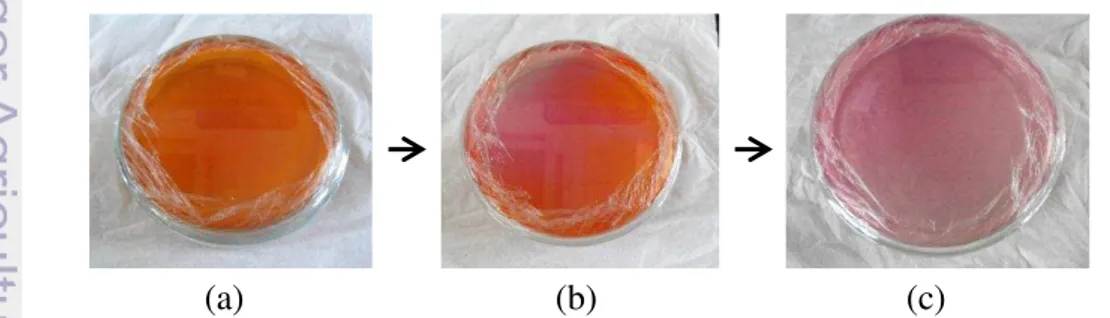 Gambar 15 Perubahan warna label methyl red dengan metode penggoresan  (a) jam ke-0; (b) jam ke-36; (c) jam ke-60 