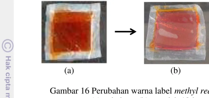 Gambar 16 Perubahan warna label methyl red  (a)  sebelum; (b) sesudah 19 jam 