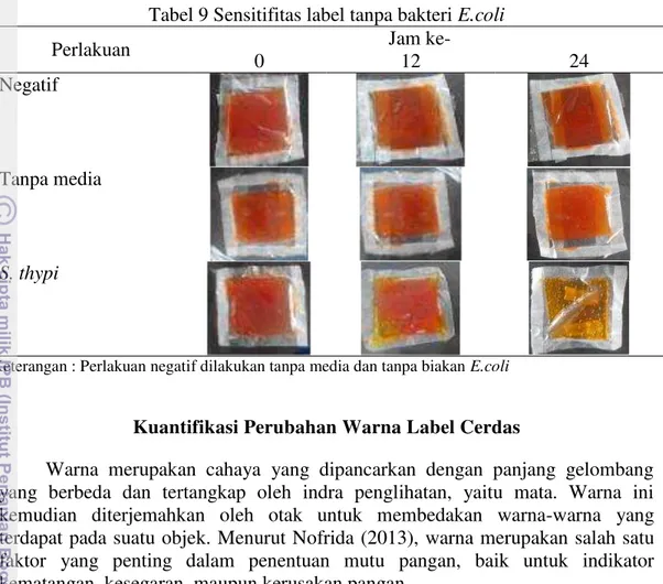 Tabel 9 Sensitifitas label tanpa bakteri E.coli 