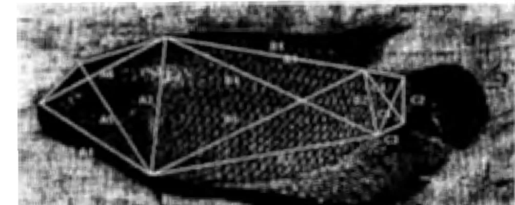 Gambar  I.  Lokasi  8  titik  yang  ditentukan  pada  garis  luar tubuh  ikan  untuk  memperoleh  data truss  morfometrik