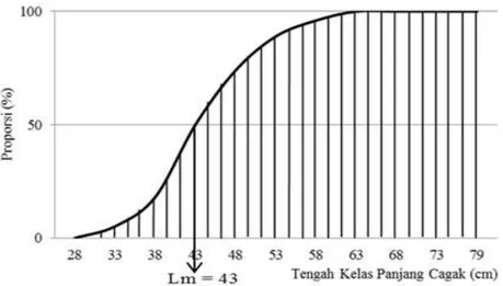 Gambar 3.  Nilai L m  (length at first maturity) cakalang yang tertangkap di sekitar rumpon  zona B
