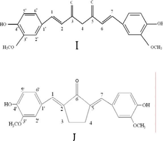 Gambar 1.  Struktur  1,7-bis-(4’-hidroksi-3’- 1,7-bis-(4’-hidroksi-3’-metoksifenil)-1, 6-heptadiena-3-5-dion  (kurkumin, A) dan  2,5-bis-(4’-hidroksi-3’-metoksibenzilidin) siklopentanon  (Pentagamavunon-0, PGV-0, B)