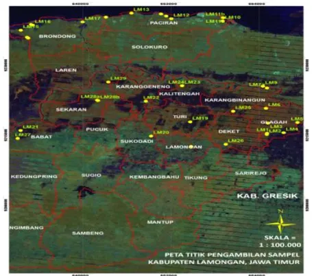 Gambar  1. Lokasi  penelitian  di  Kabupaten  Lamongan  Provinsi Jawa  Timur