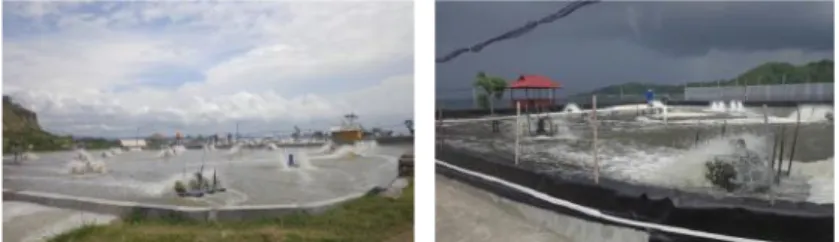 Gambar  3 Petak tambak pembesaran super intensif pada dua perusahaan di  Kabupaten  Barru