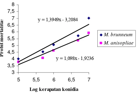 Gambar 3  Hubungan antara log kerapatan konidia cendawan entomopatogen dan      probit mortalitas C