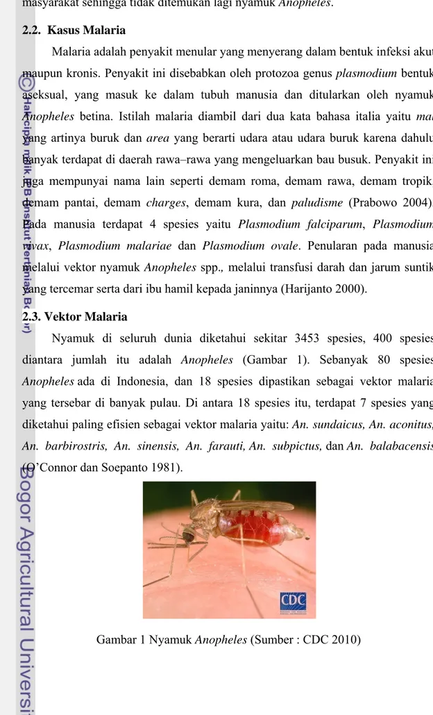 Gambar 1 Nyamuk Anopheles (Sumber : CDC 2010) 