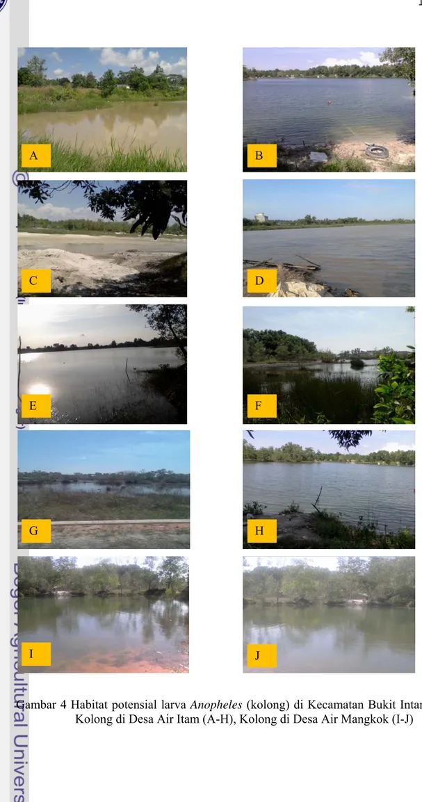 Gambar 4 Habitat potensial larva Anopheles (kolong) di Kecamatan Bukit Intan. 