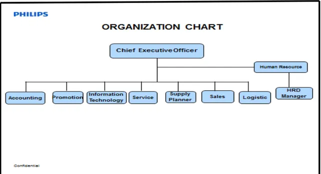 Gambar 3.5 Struktur Organisasi PT. Citra Kreasi Makmur  3.1.6  Struktur Organisasi Divisi Promotion  