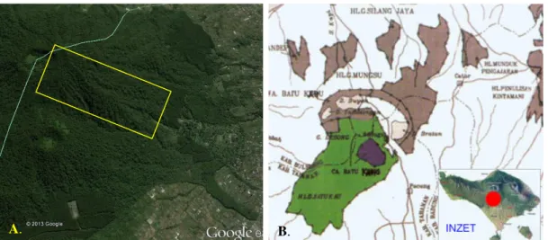 Gambar  1.  Peta  lokasi  penelitian  di  Bukit  Tapak,  CA  Batukahu,  Bali.  A.  Lokasi  penelitian  di  Bukit Tapak  yang dibatasi kotak kuning (google earth), B