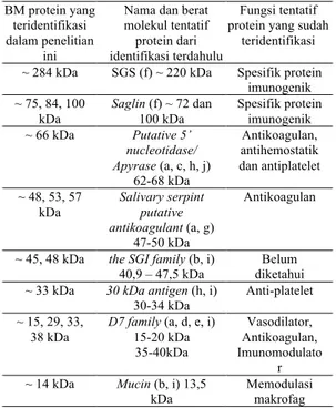 Gambar 1. Hasil analisa sds-page, (SG) protein  10  pasang  kelenjar  saliva  An. 
