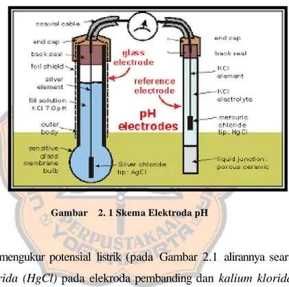 Gambar    2. 1 Skema Elektroda pH 