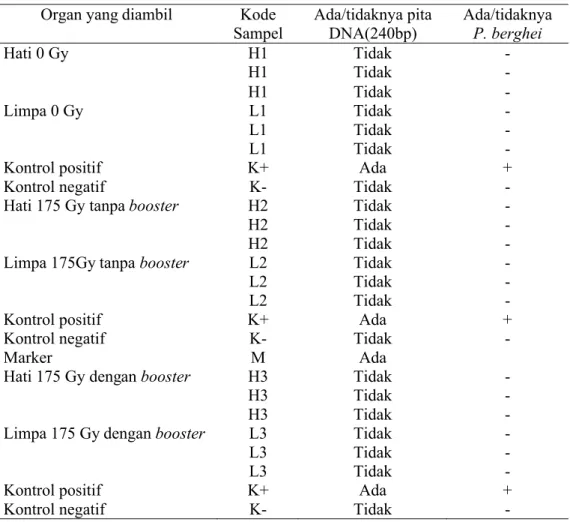 Tabel 4. Data elektroforegram hasil PCR nested-2 Organ yang diambil Kode 