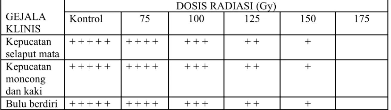Tabel 1. Gejala klinis yang timbul pada mencit yang terinfeksi di atas satu minggu paska  irradiasi