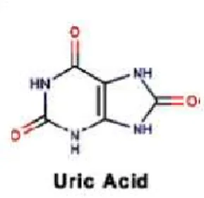 Gambar 2.2 Stuktur Kimia Asam Urat (McCrudden, 2000). 