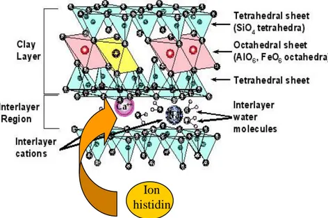 Gambar 1. Foto SEM Permukaan a: Ca-bentonit, b: histidin-bentonit                                      c: histidin-diazinon-bentonit