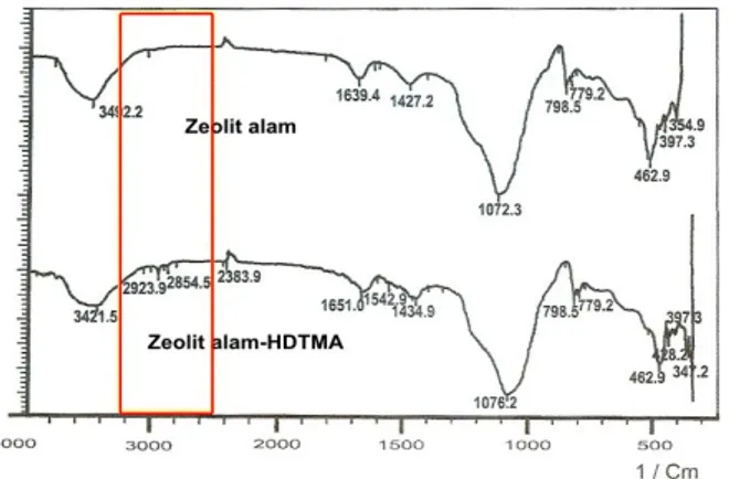 Gambar 4.5. Mekanisme Pembentukkan Monolayer  HDTMA +  pada Zeolit