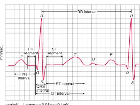 Gambar 2.2. Konfigurasi Elektrokardiogram dengan Gelombang, Segmen   dan Interval 