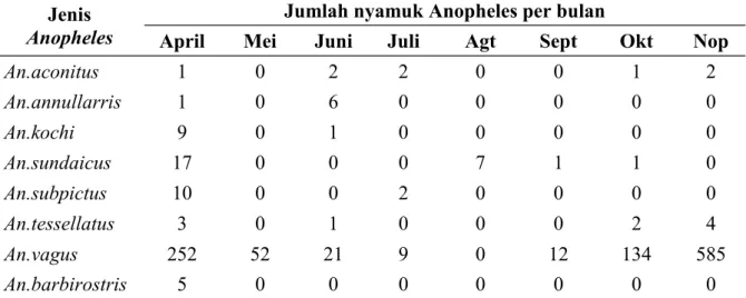 Gambar 7. Jumlah nyamuk Anopheles  yang ditangkap berdasarkan bulan desa Ayah  