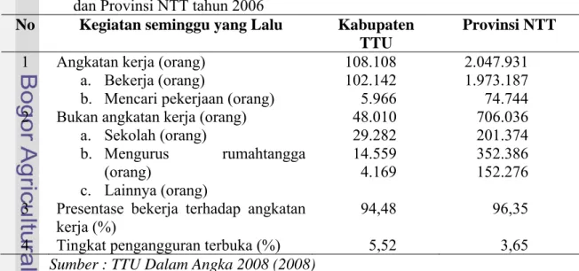 Tabel 19. Komposisi penduduk berdasarkan status ketenagakerjaan di Kabupaten TTU        dan Provinsi NTT tahun 2006 