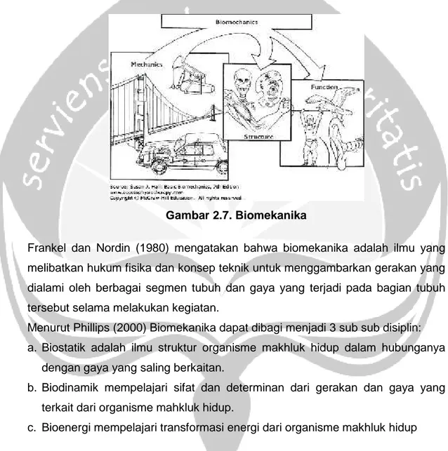 Gambar 2.7. Biomekanika