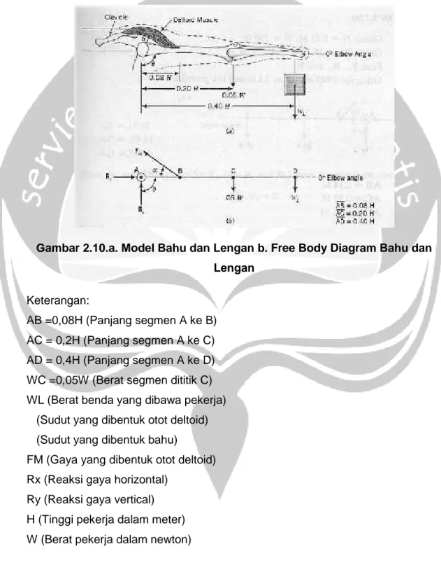 Gambar 2.10.a. Model Bahu dan Lengan b. Free Body Diagram Bahu dan Lengan