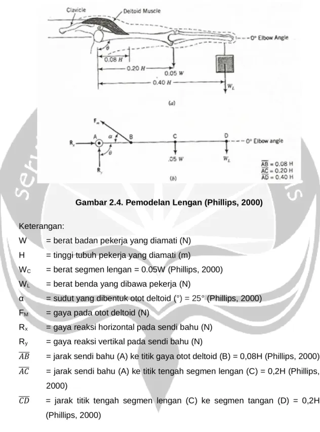 Gambar 2.4. Pemodelan Lengan (Phillips, 2000)  Keterangan: 