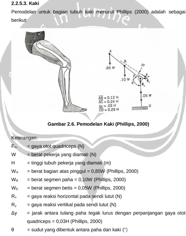 Gambar 2.6. Pemodelan Kaki (Phillips, 2000) 
