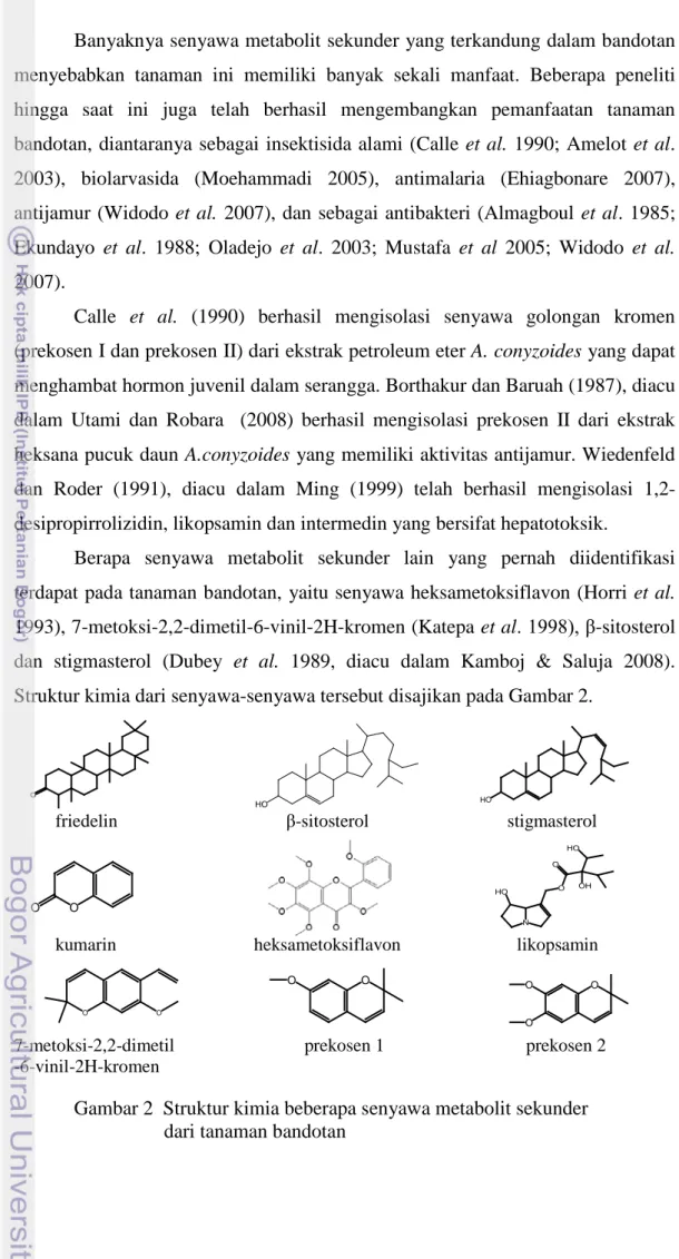 Gambar 2  Struktur kimia beberapa senyawa metabolit sekunder         dari tanaman bandotan 