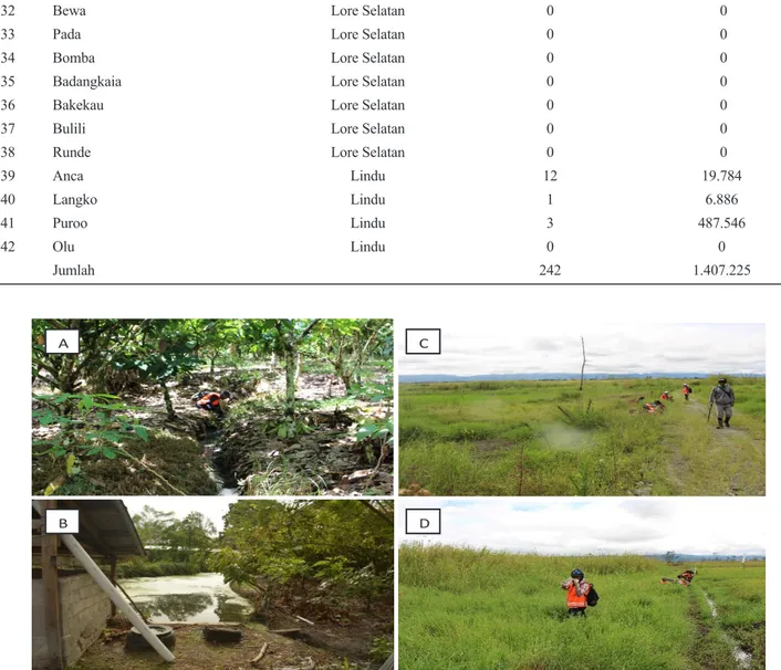 Gambar 2. Fokus keong O.hupensis lindoensis , jenis fokus saluran air di kebun coklat (A,B), dan sawah                      tidak aktif  (C,D) di Dataran Tinggi Napu (sumber: Balai Litbang P2B2 Donggala)